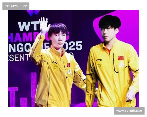 2017国乒晚会完整版